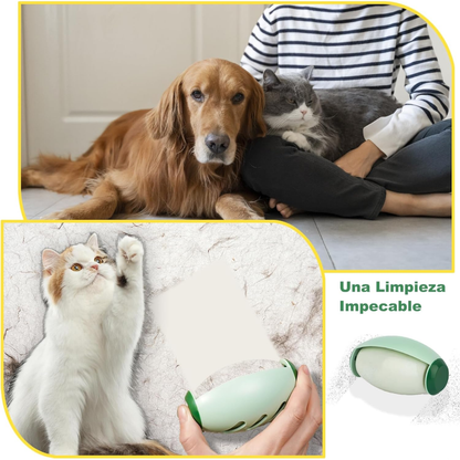 Roll Quitapelusas Lavable